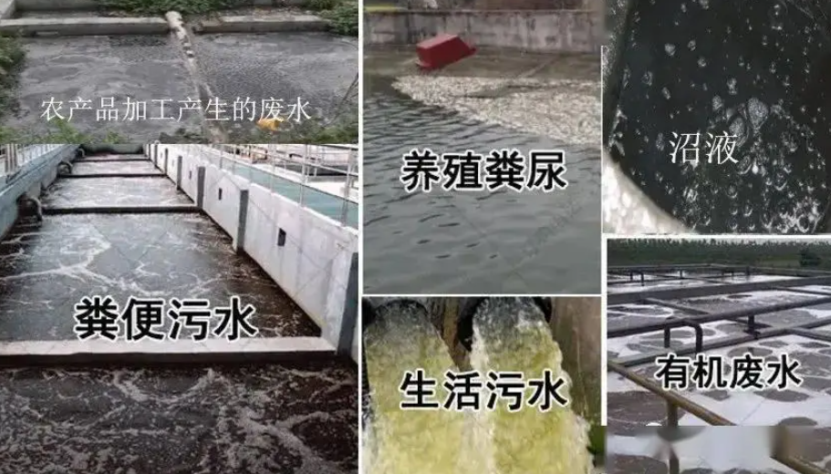 氨氮汙染
